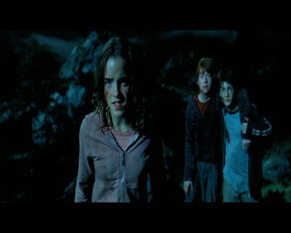 PDVD_2219.jpg