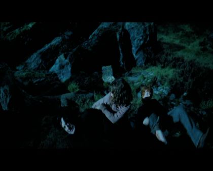 PDVD_2231.jpg