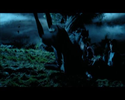 PDVD_2235.jpg