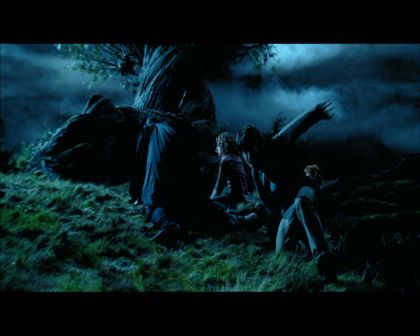 PDVD_2237.jpg