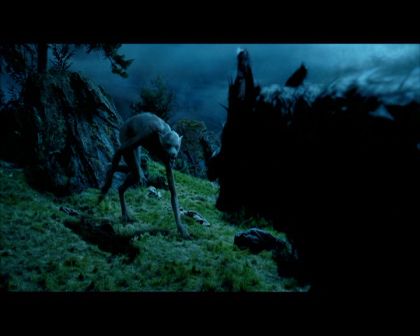 PDVD_2242.jpg