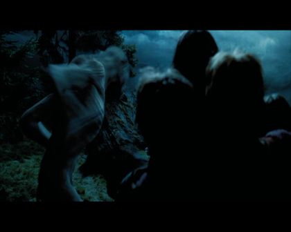 PDVD_2251.jpg