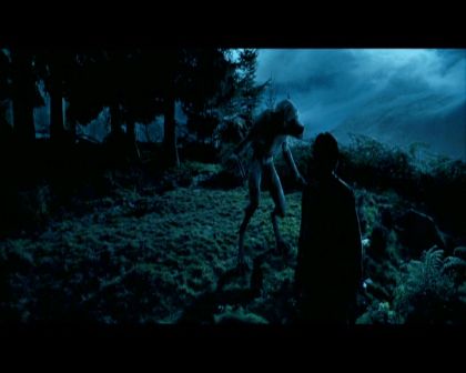 PDVD_2269.jpg