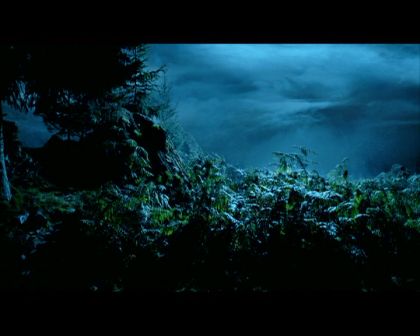 PDVD_2279.jpg