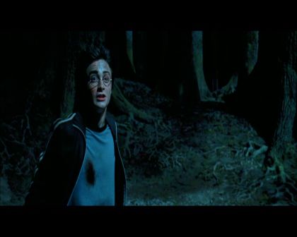 PDVD_2315.jpg