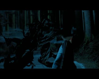 PDVD_2317.jpg