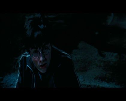 PDVD_2320.jpg