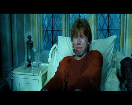 PDVD_2392.jpg