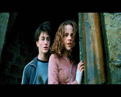 PDVD_2442.jpg