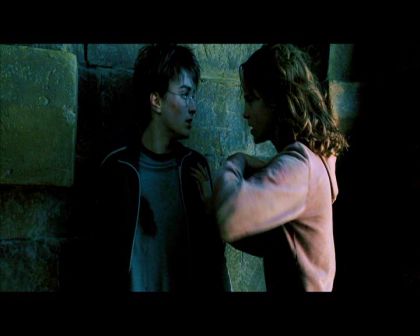 PDVD_2446.jpg
