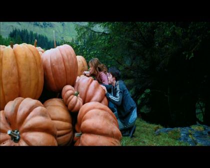 PDVD_2474.jpg