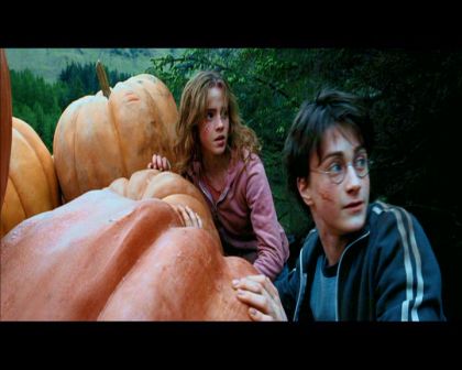 PDVD_2476.jpg