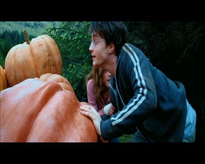 PDVD_2479.jpg