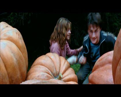 PDVD_2488.jpg