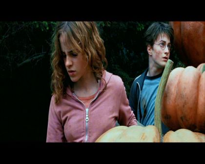 PDVD_2507.jpg