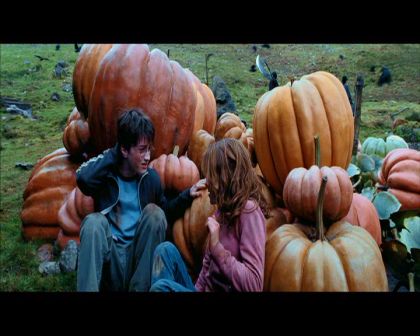 PDVD_2518.jpg