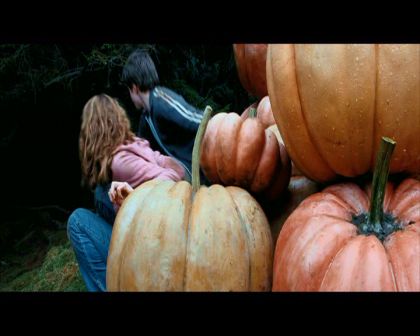 PDVD_2529.jpg