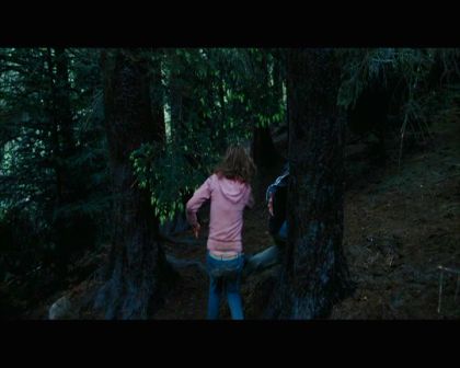 PDVD_2532.jpg