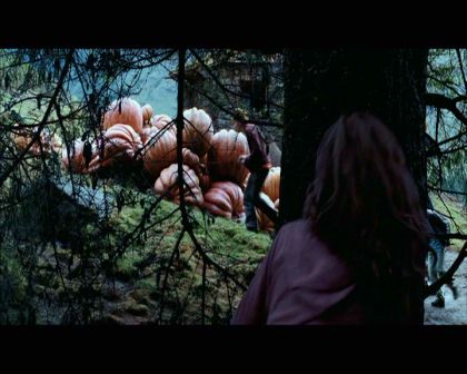 PDVD_2533.jpg