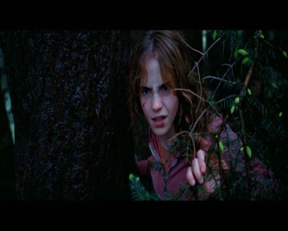 PDVD_2540.jpg