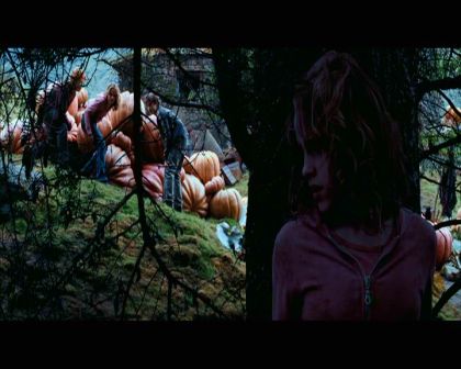 PDVD_2543.jpg