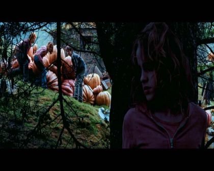 PDVD_2544.jpg