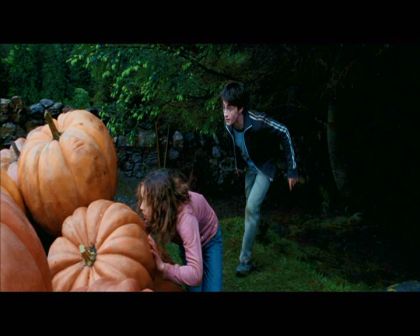 PDVD_2552.jpg