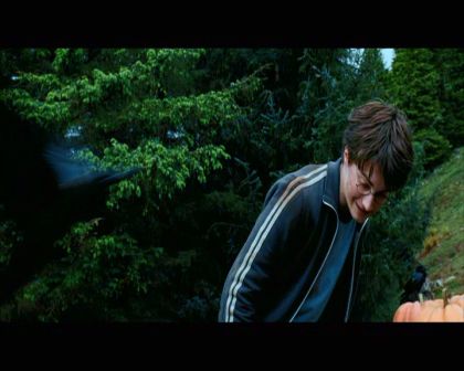 PDVD_2559.jpg