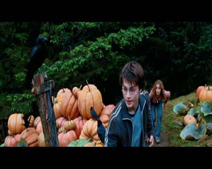 PDVD_2570.jpg