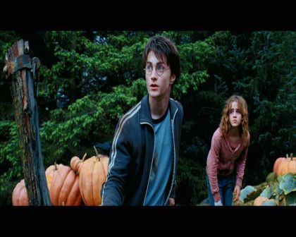 PDVD_2575.jpg