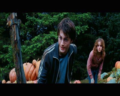 PDVD_2577.jpg