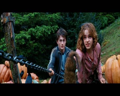 PDVD_2595.jpg