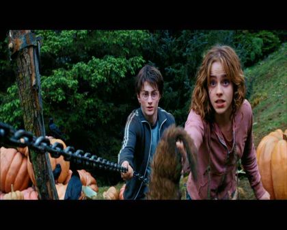 PDVD_2596.jpg