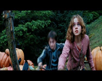 PDVD_2597.jpg