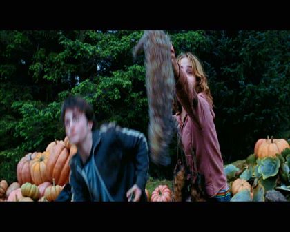 PDVD_2598.jpg