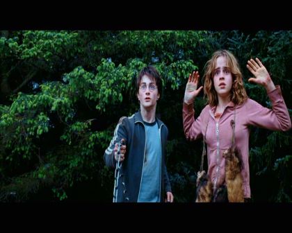 PDVD_2605.jpg