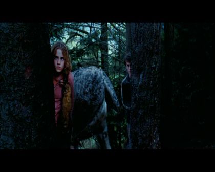 PDVD_2623.jpg