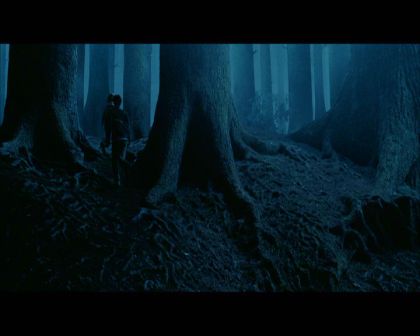 PDVD_2648.jpg