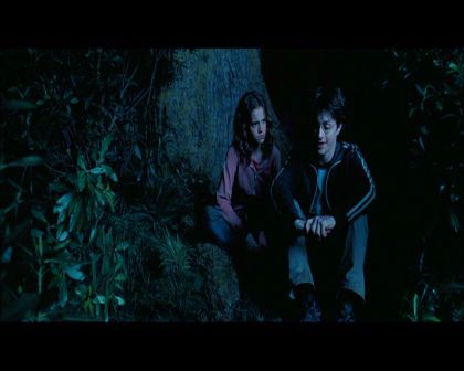 PDVD_2665.jpg