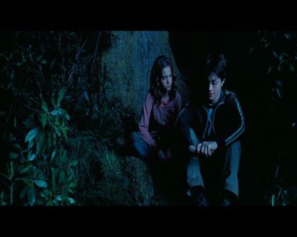 PDVD_2666.jpg