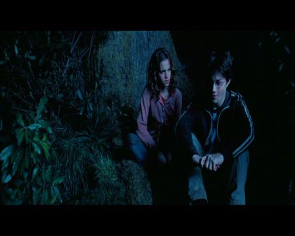PDVD_2668.jpg