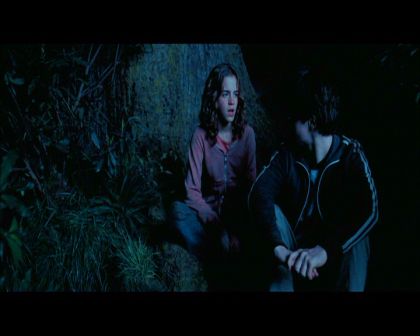PDVD_2670.jpg