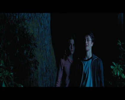 PDVD_2681.jpg