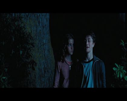 PDVD_2682.jpg