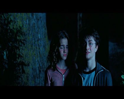 PDVD_2685.jpg