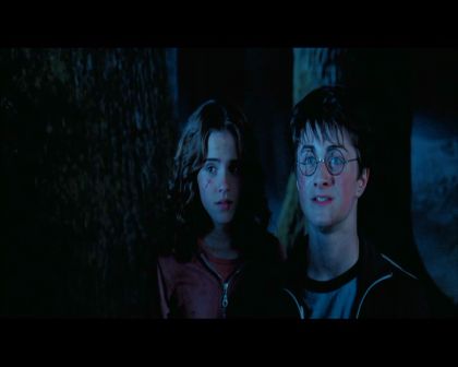 PDVD_2686.jpg