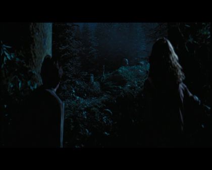 PDVD_2695.jpg