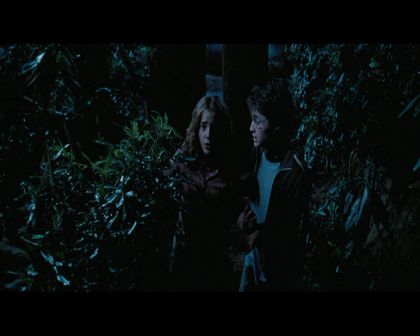 PDVD_2700.jpg