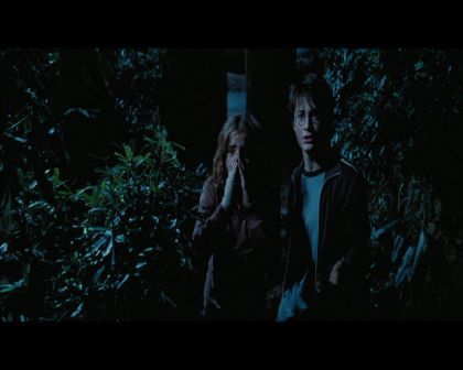 PDVD_2702.jpg