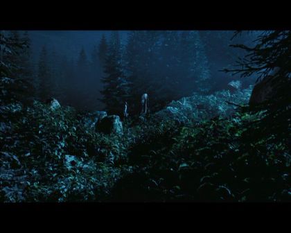 PDVD_2704.jpg